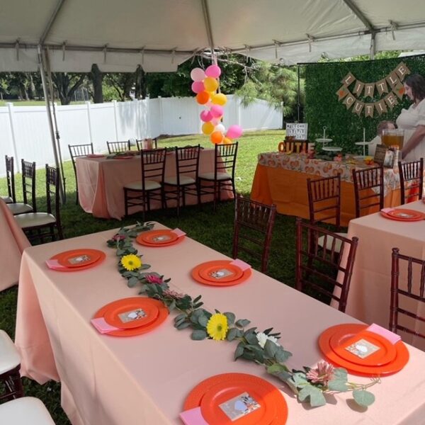 Chairs for Affairs (321) 2598252 Weddings Corporate Events